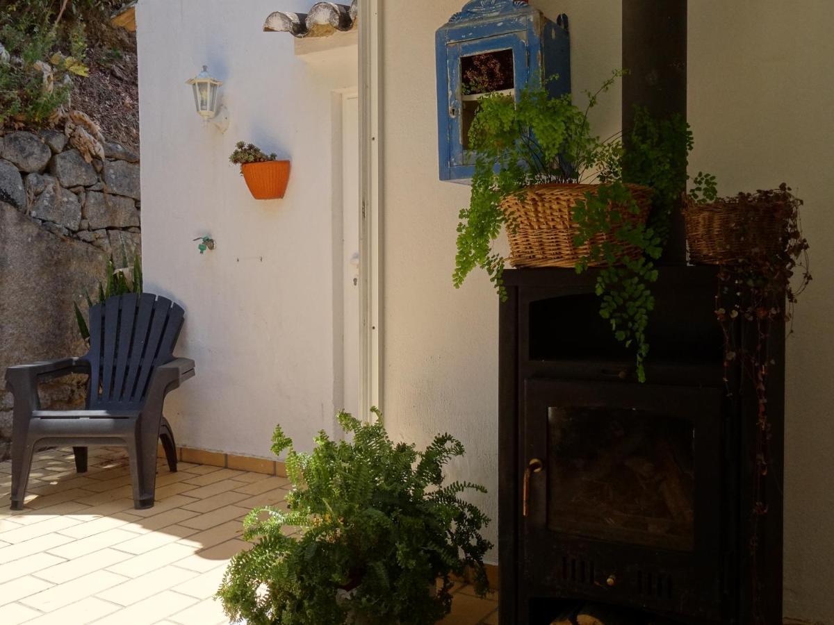 מונצ'יק My Room - Villa Vina - Ter מראה חיצוני תמונה