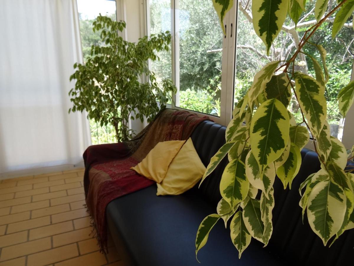 מונצ'יק My Room - Villa Vina - Ter מראה חיצוני תמונה