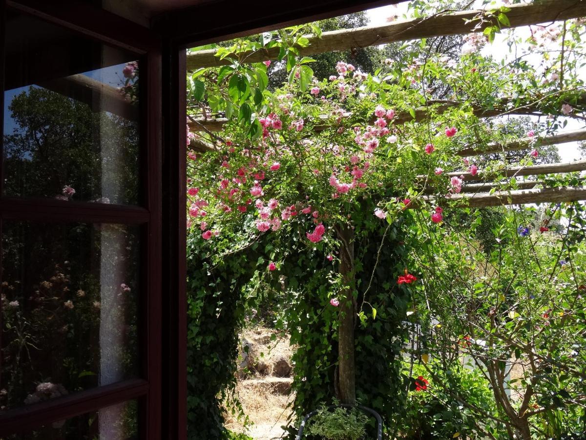 מונצ'יק My Room - Villa Vina - Ter מראה חיצוני תמונה