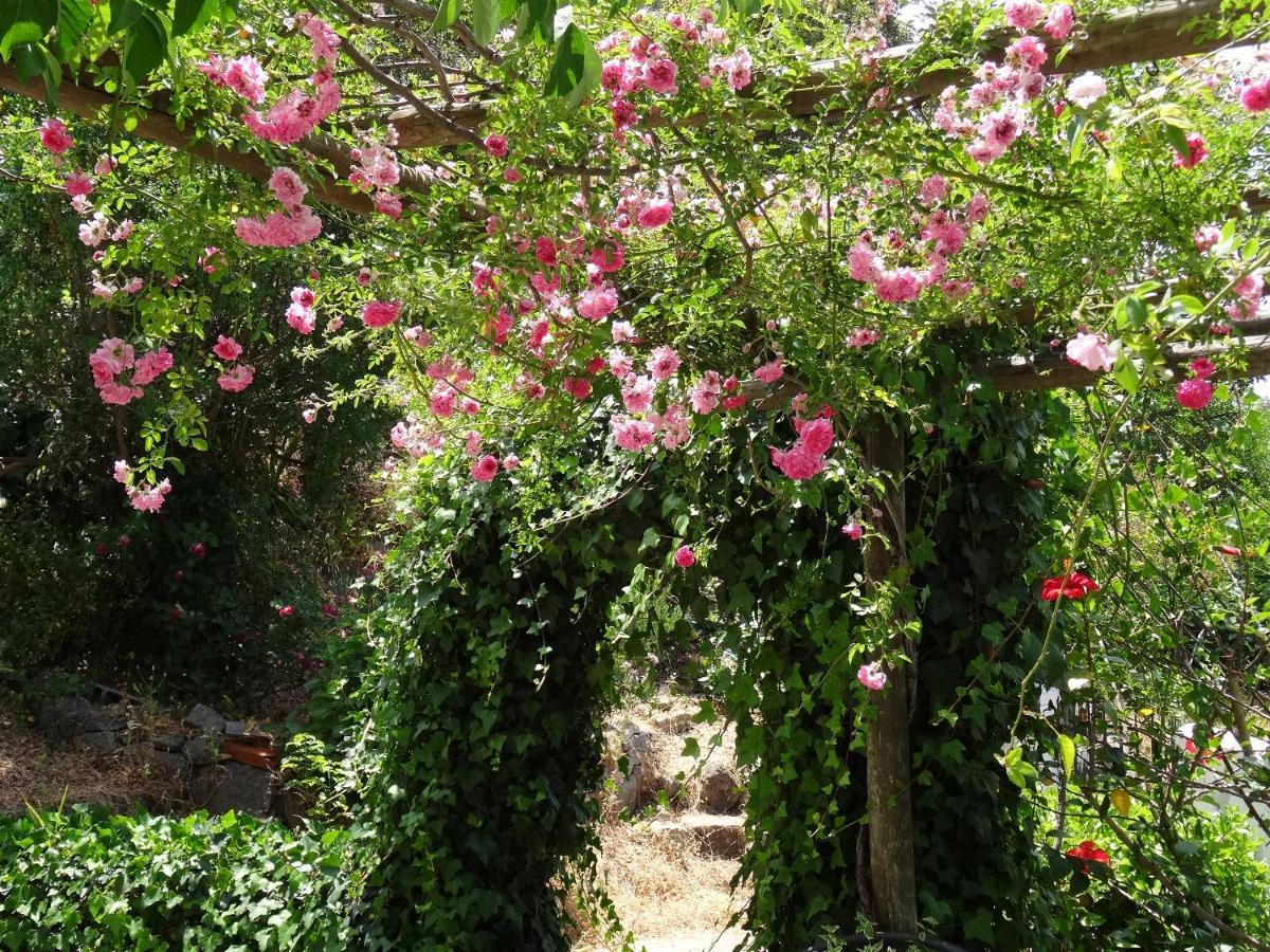 מונצ'יק My Room - Villa Vina - Ter מראה חיצוני תמונה
