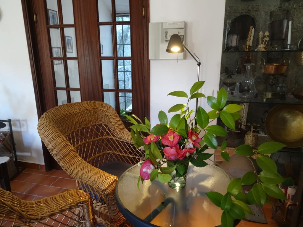מונצ'יק My Room - Villa Vina - Ter מראה חיצוני תמונה