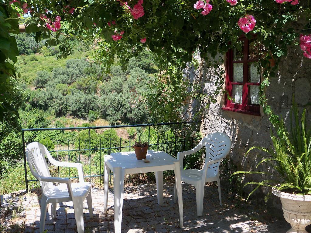 מונצ'יק My Room - Villa Vina - Ter חדר תמונה