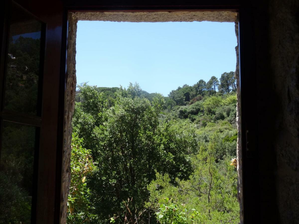 מונצ'יק My Room - Villa Vina - Ter מראה חיצוני תמונה