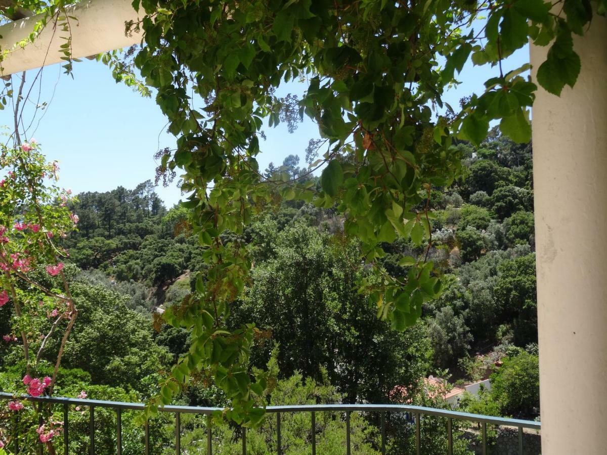מונצ'יק My Room - Villa Vina - Ter מראה חיצוני תמונה